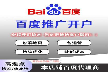 谷歌竞价广告在电商行业的运用案例